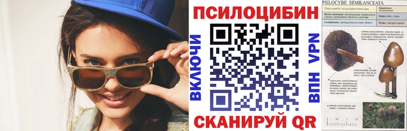 купить закладку  гидра зеркало  Галлюциногенные грибы Magic Shrooms  Беломорск 